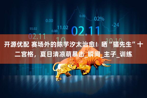开源优配 赛场外的陈芋汐太治愈！晒“猫先生”十二宫格，夏日清凉萌暴击_瞬间_主子_训练
