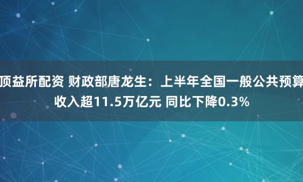 顶益所配资 财政部唐龙生：上半年全国一般公共预算收入超11.5万亿元 同比下降0.3%